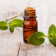 Peppermint Oil